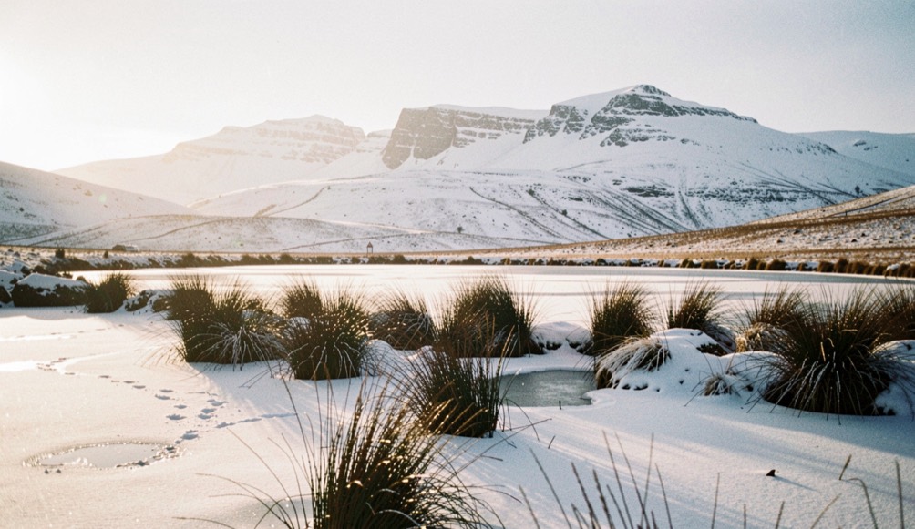 The Langdale Pikes under a light covering of snow seen across a frozen tarn, thin winter sunlight from the left, dark rushes breaking the ice in the foreground, wide horizontal framing