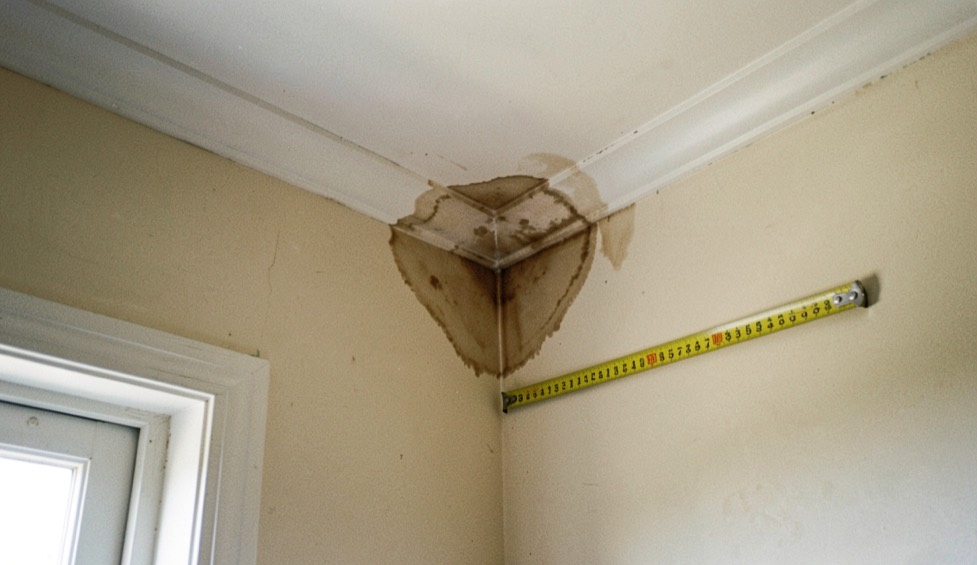 The corner of a bedroom ceiling with a brown tide-marked water stain spreading from the cornice, a yellow tape measure laid flat against the wall for scale, soft window light raking across the plaster