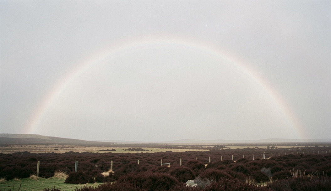 A pale white fogbow arching over open moorland in thin fog, the arc almost colourless, dark heather and a fence line below, soft grey light from behind the camera, wide framing