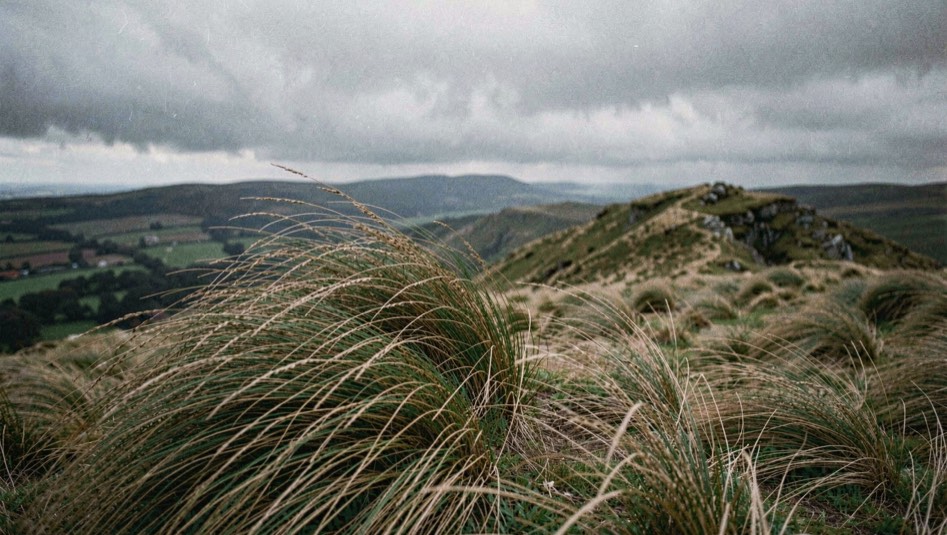 Heather and moor grass bent hard over by strong wind on an exposed British ridge, low cloud racing overhead, a distant valley in shadow, cold light, low wide framing