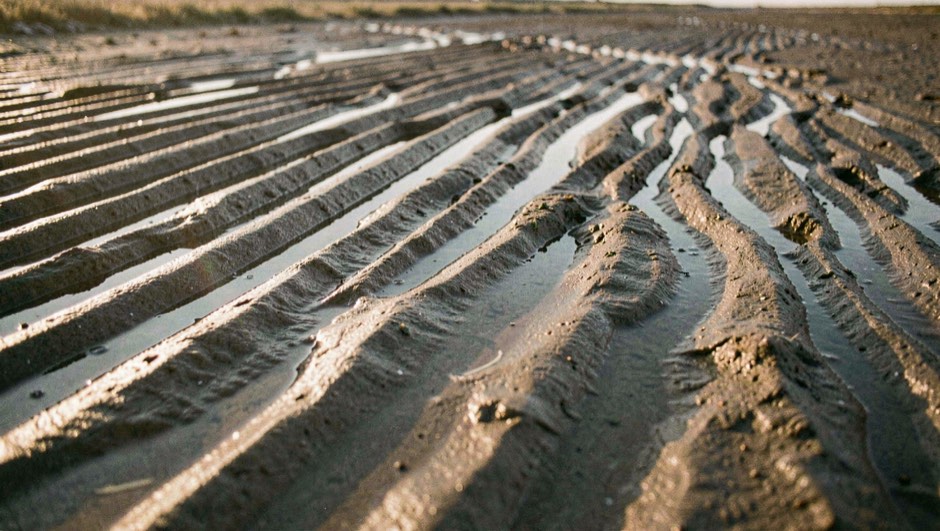 Close view of ridged wet sand on the Solway flats at low water, the ridges running diagonally across the frame, shallow water lying in the troughs, low evening sunlight raking from the left